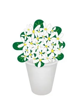 Beautiful Hydrangea Flower in A Flowerpot Stock Illustration