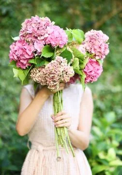 Beautiful hydrangea flowers Foto stock