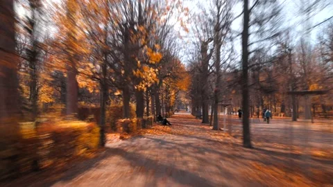 Beautiful hyper lapse autumn view from the Schönbrun park in Vienna Stock Footage 165356593