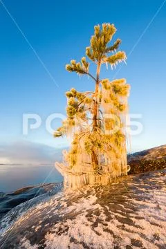 Beautiful Ice by lakeside at wintertime in Wilderness Stock Photos