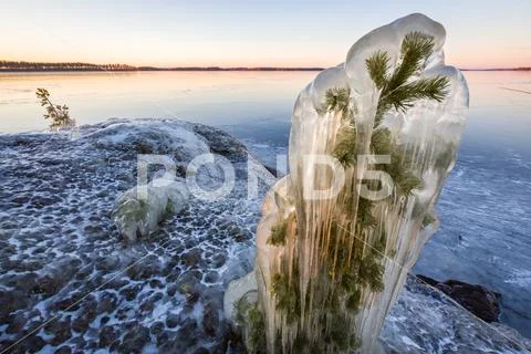 Beautiful Ice by lakeside at wintertime in Wilderness Stock Photos