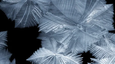 Beautiful ice pattern covering black background, forming from a freezing bubble Stock Footage 276391775
