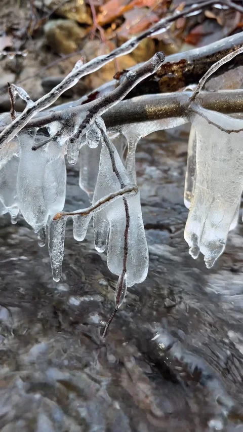 Beautiful icicle formations during the freezing of the stream in winter Stock Footage 296653548