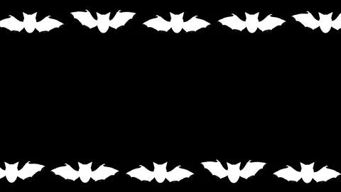 Beautiful illustration of white bats frame on plain black background Stock Illustration