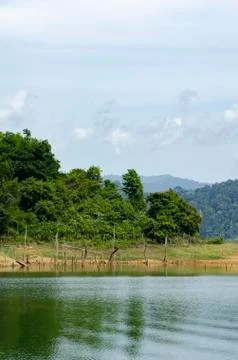Beautiful image of rain-forest with reflection in water at Royal Belum State Stock-Fotos