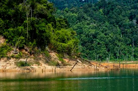 Beautiful image of rain-forest with reflection in water at Royal Belum State Stock Photos