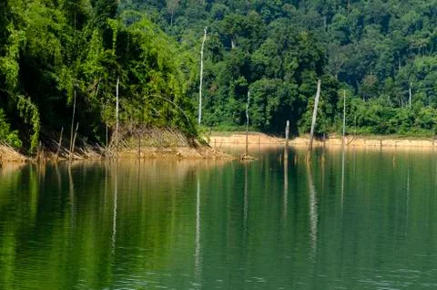 Beautiful image of rain-forest with reflection in water at Royal Belum State Stock Photos