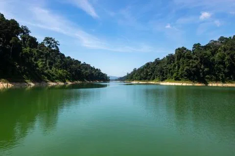 Beautiful image of rain-forest with reflection in water at Royal Belum State Foto stock