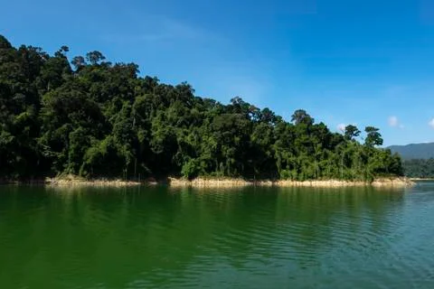 Beautiful image of rain-forest with reflection in water at Royal Belum State Foto stock