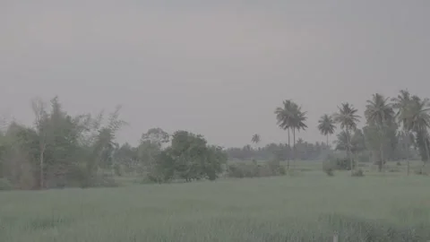 Beautiful India Farm Stock Footage 272465448