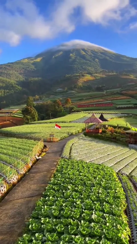 Beautiful Indonesia Video stock 232515357