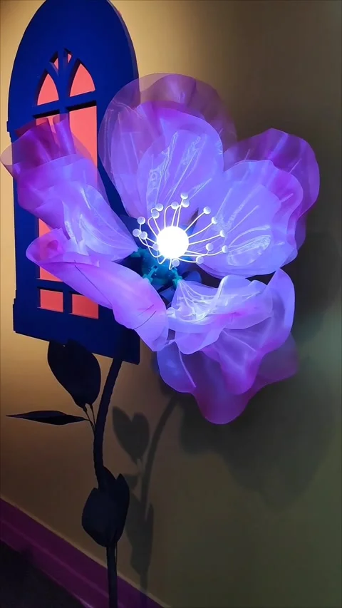 A beautiful interactive purple flower with opening petals Stock Footage 294681566