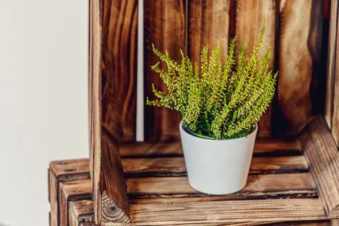 Beautiful interior of the restaurant Stock Photos