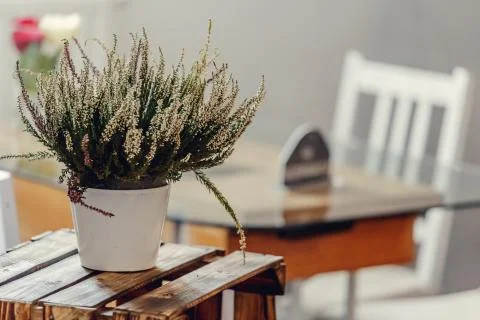 Beautiful interior of the restaurant Stock Photos