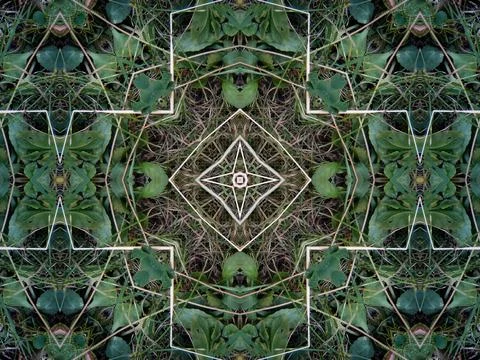 A beautiful intricate geometric repeat pattern formed with leaves and dried Foto stock