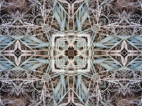 A beautiful intricate geometric repeat pattern formed with leaves and dried 스톡 사진