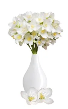 Beautiful jasmine flowers with leaves isolated on white Foto stock