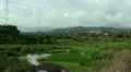 Beautiful jungle urbanisation zone in Bali driving truck and clouds HD Footage