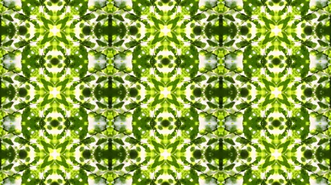 Beautiful kaleidoscopic pattern of green foliage. Vidéo 43132058