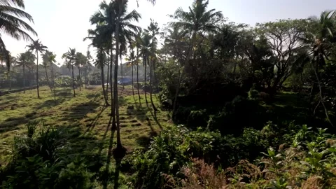 Beautiful Kerala seen through the train in India travelling from Indian Railways Stock Footage 231672900