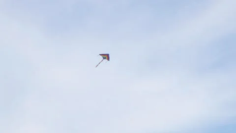 Beautiful kite in the air Stock Footage 240003247