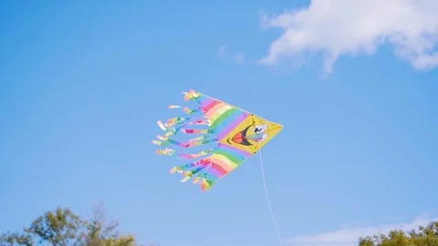 Beautiful kite flying fun soars into the air. Beautiful frames in slow motion. Video stock 111843323