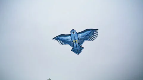 Beautiful kite flying sky on cloudy day. Carefree blue bird owl swaying in wind. 動画素材 242712650