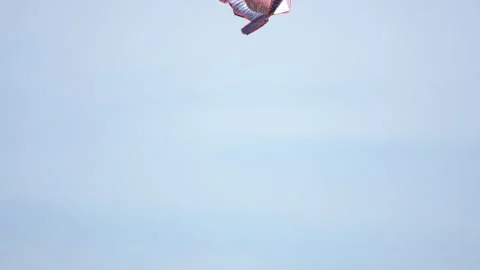 Beautiful kite in the wind against the blue sky. Copy space for text Stock Footage 311648626