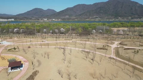 Beautiful korean river Stock Footage 260211842