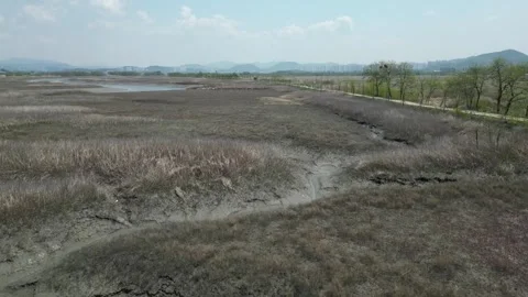 Beautiful korean river Video stock 260215435