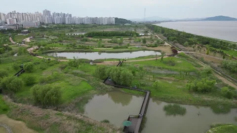 Beautiful korean river Video stock 260216409