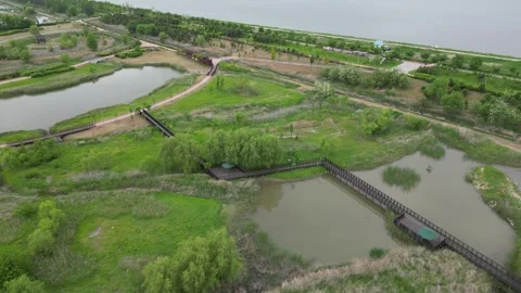 Beautiful korean river Stock Footage 260217087