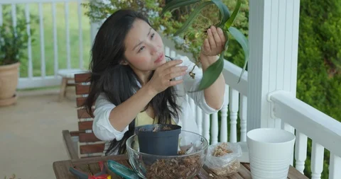 Beautiful Lady Repots Plants Stock Footage 116528336