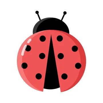 Beautiful Ladybug Flat Vector illustration. Insect isolated on white.  Stock Illustration