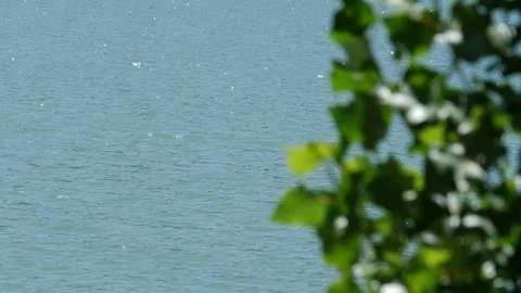 Beautiful lake 4K Stock Footage 113195680