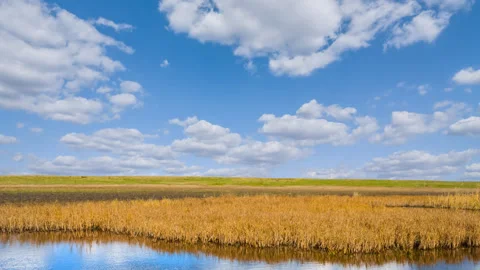 Beautiful lake among a fields Stock Footage 329178375