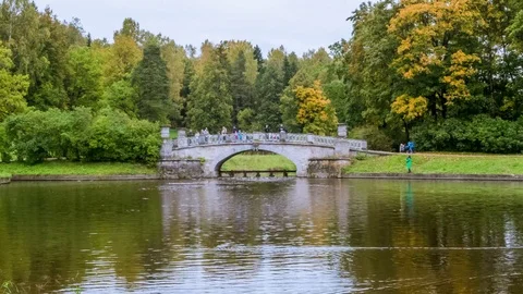 Beautiful lake and bridge in the autumn Park Stock Footage