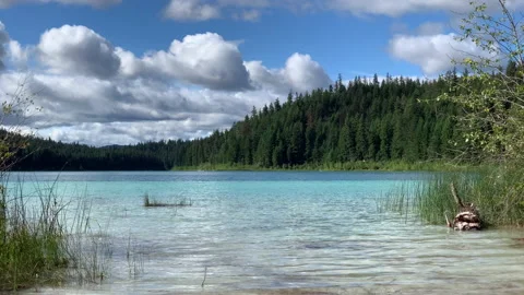 Beautiful Lake and grasslands Stock Footage 146821253