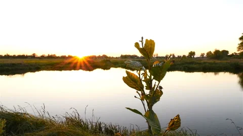 Beautiful lake in the background of sunset. The camera goes down. Slow Motion Stock Footage 90915105
