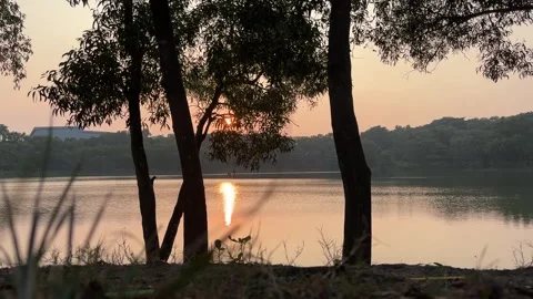 The beautiful lake is blocked by tree trunks with a sunset background Stock Footage 281042152