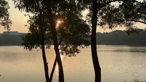 The beautiful lake is blocked by tree trunks with a sunset in the background Stock Footage 281042170