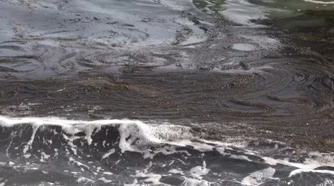 Beautiful lake Stock Footage