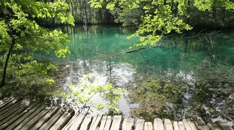 Beautiful Lake Stock Footage 11754536