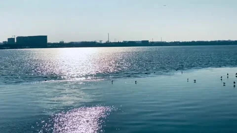 Beautiful lake. Stock Footage 238482083