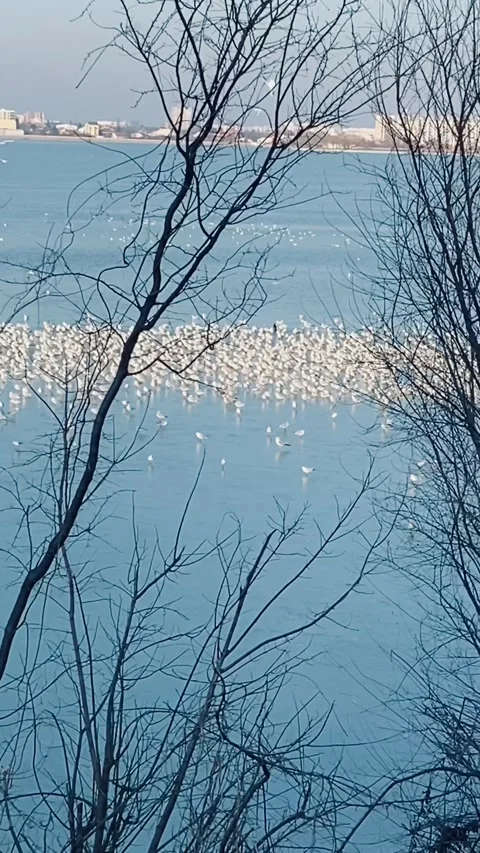 Beautiful lake. Stock Footage 238482185