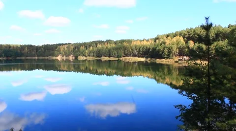 Beautiful lake in the forest Video stock 68364501