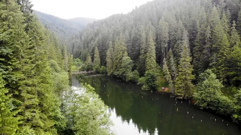 Beautiful lake in forest Vidéo 127817210