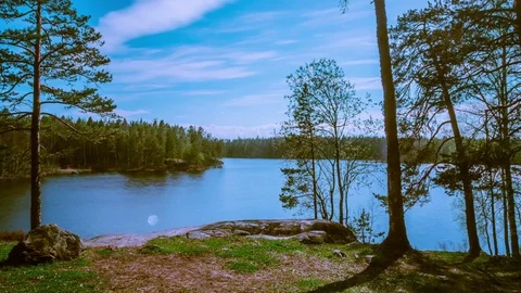 Beautiful lake in the forest. time lapse Stock Footage 77259595