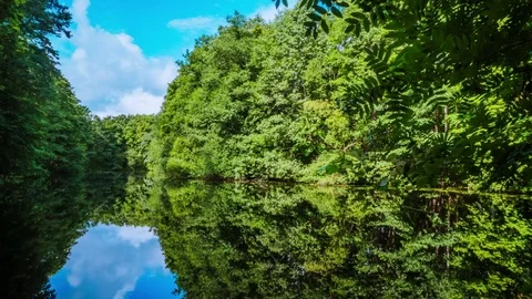 Beautiful lake in the forest. time lapse 스톡 동영상 79741747