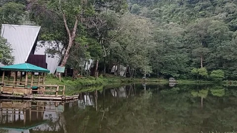 A beautiful lake in the middle of the forest Stock Footage 150215432